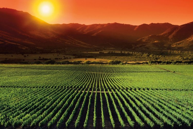 Bucket List Trips for Couples